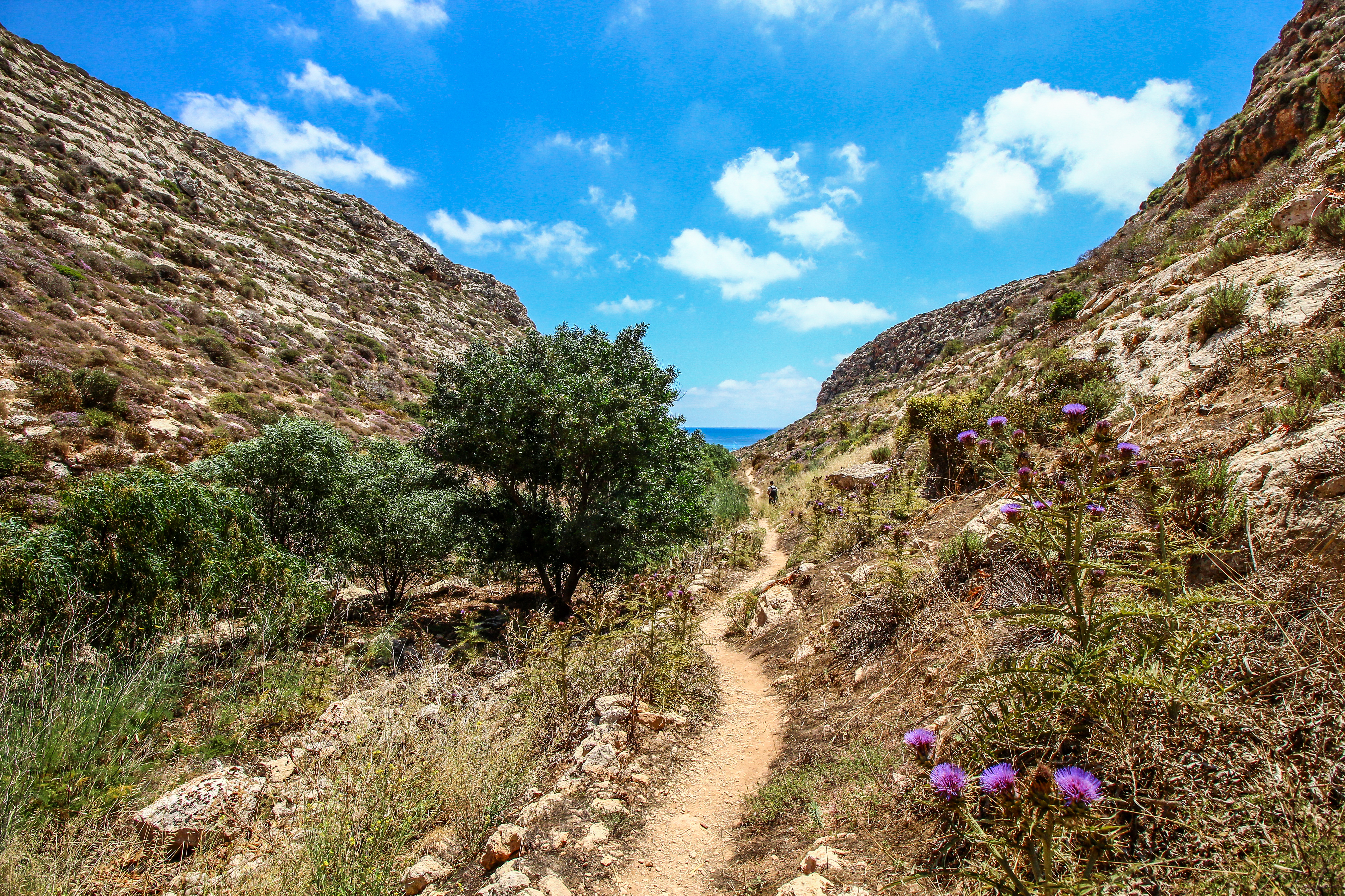 IMG_2683-2_TommasoSparma_HubTuristicoLampedusa.jpg