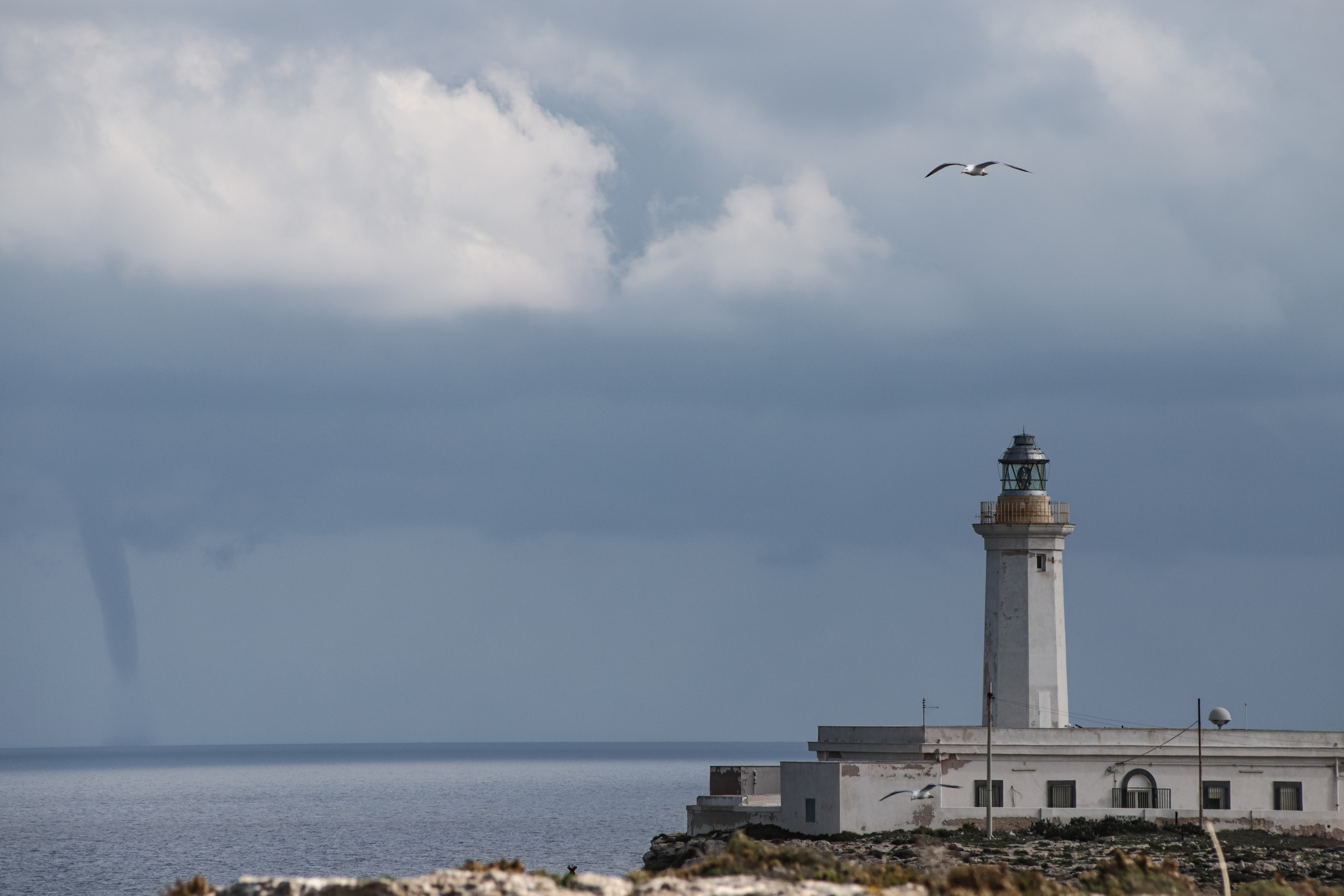 IMG_9290_TommasoSparma_HubTuristicoLampedusa.jpg